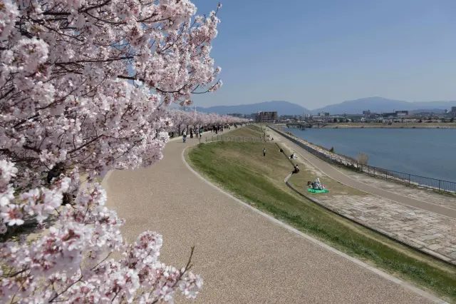 狭山池公園（大阪）