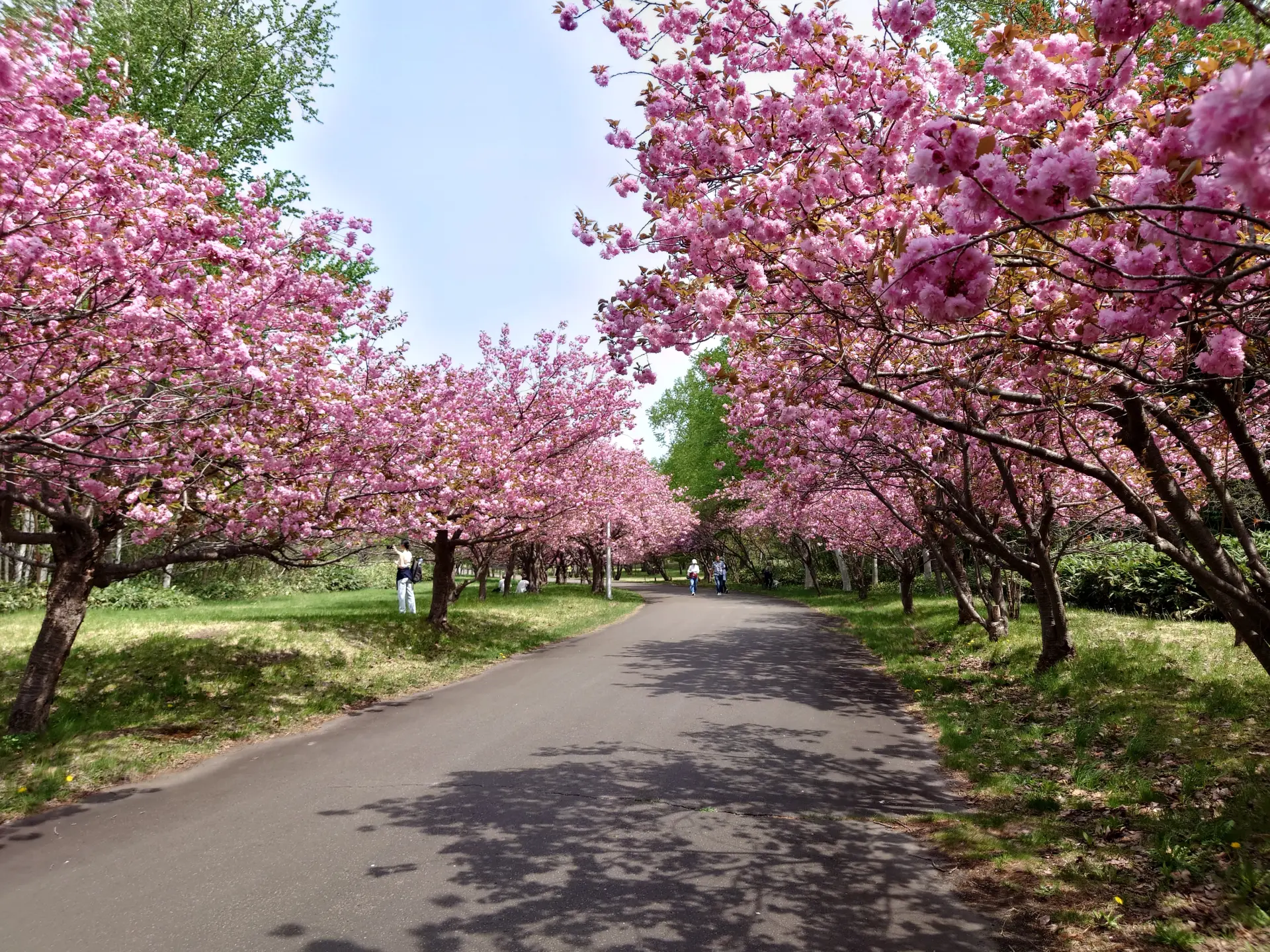 北海道立真駒内公園
