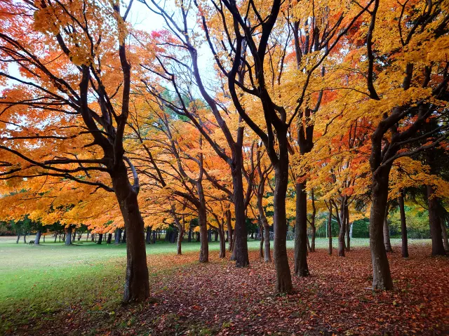 秋の紅葉スポットとしてもおなじみ