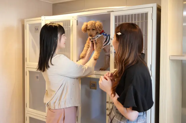 全船舶でわんこと快適な船旅を楽しめる