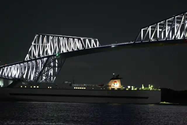陸路では体験できない東京ゲートブリッジ通過の夜景