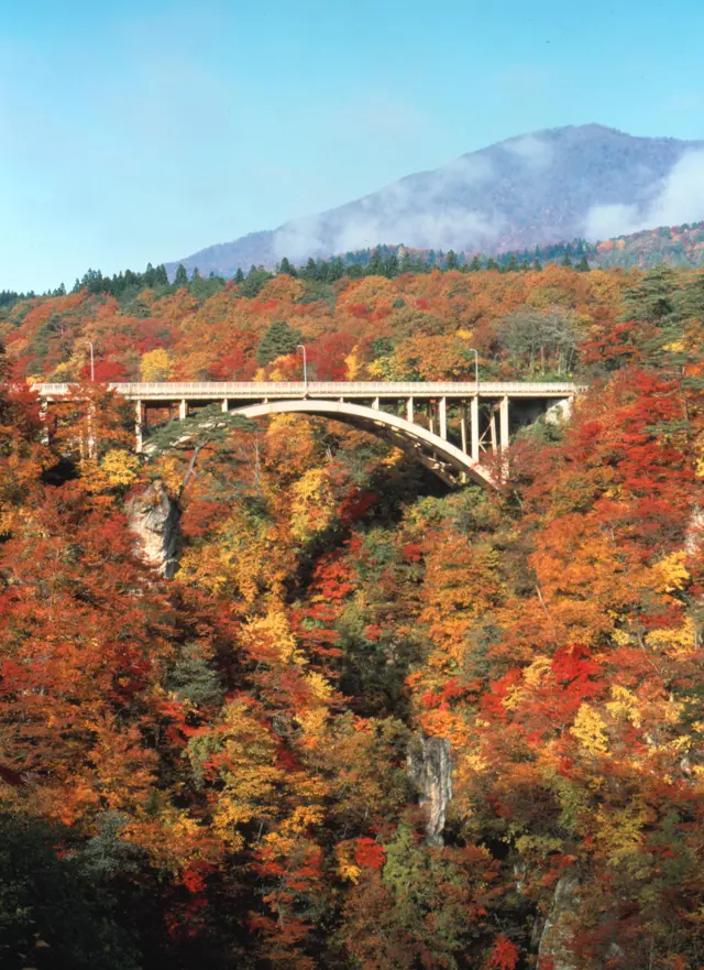 里山の自然に囲まれたロケーション