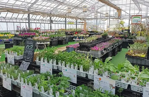 花売店「花の駅」のほか農産物直売所もある