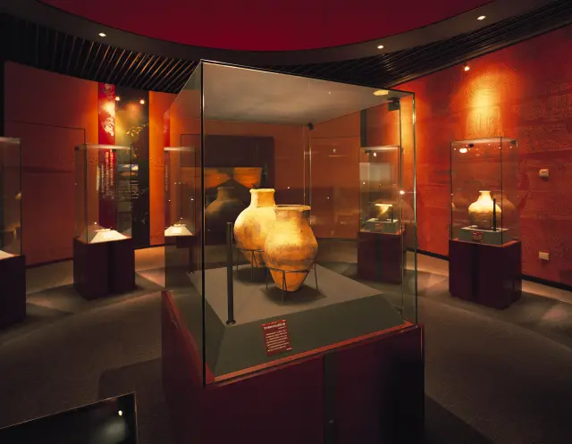 「展示館」では重要文化財に指定される約8600万年前の出土品も展示