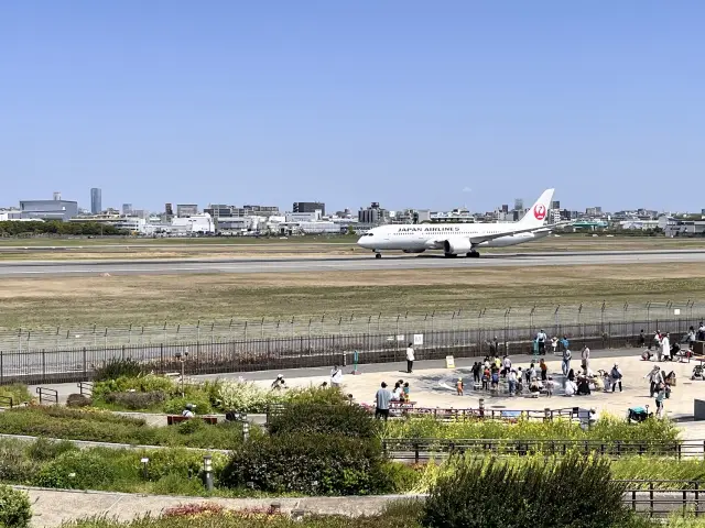 ジェット機が離着陸する光景は圧巻