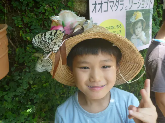 帽子にチョウを止まらせるイベントも