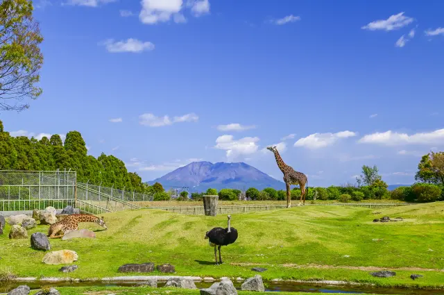 まるで本場のサバンナのような「アフリカ園」