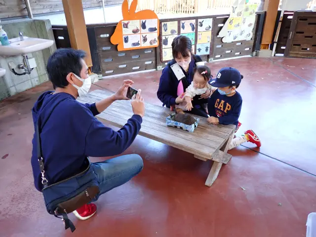 小動物たちとふれあえるエリアもあり