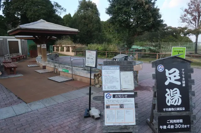 動物や桜島を眺めながら過ごせる足湯コーナー