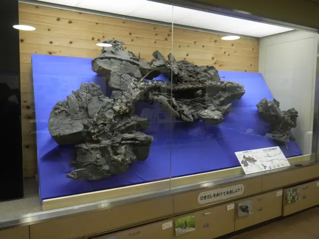 有田川町で発見されたモササウルス類「ワカヤマソウリュウ」の実物化石と産状レプリカ