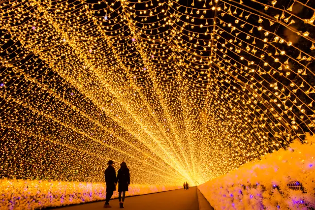 10月下旬〜5月下旬頃は「なばなの里」のイルミネーションも楽しめる