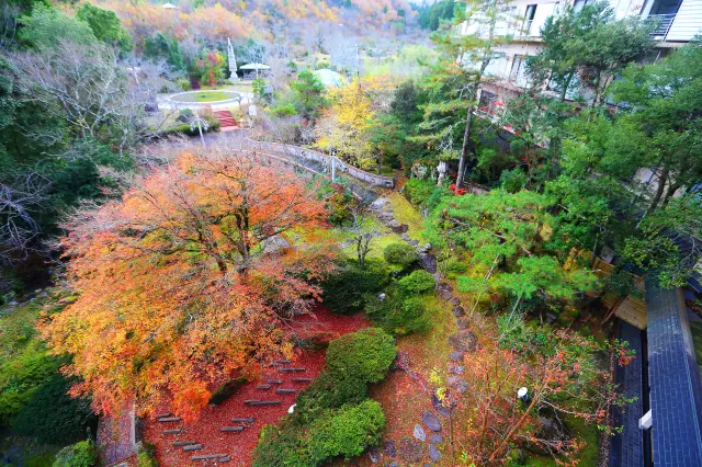 25,000坪の広さを誇る回遊式庭園