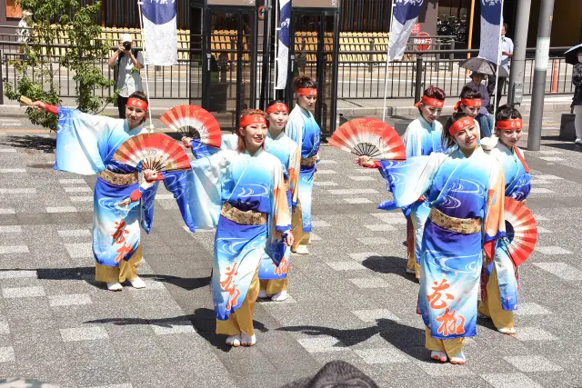 色鮮やかな衣装をまとった踊り隊が多数参加