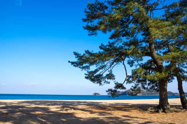 琴林公園