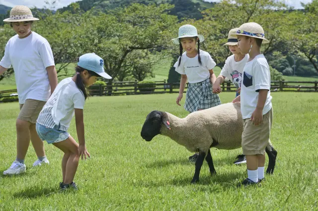 さまざまな動物を触れ合える