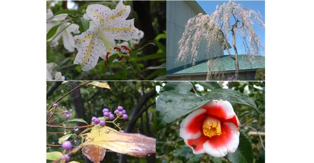 四季の花に彩られるパラミタガーデン