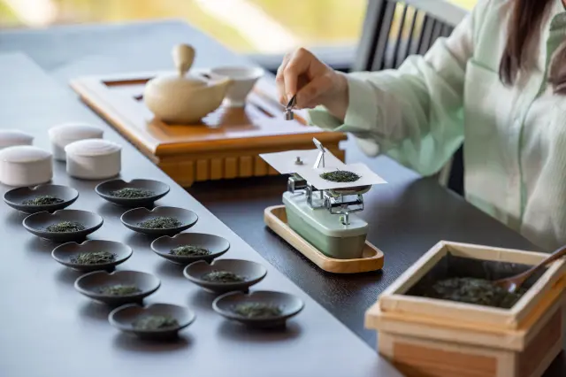 お茶文化を体感できるコンテンツがずらり