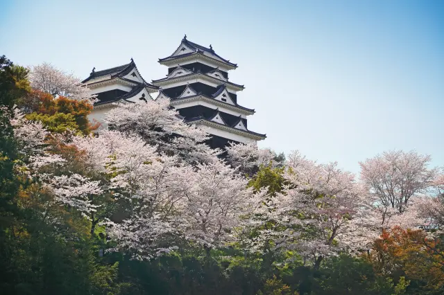 復元された大洲城