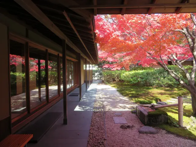 敷地内には茶室もあり、四季折々の景観が楽しめる ©豊田市美術館