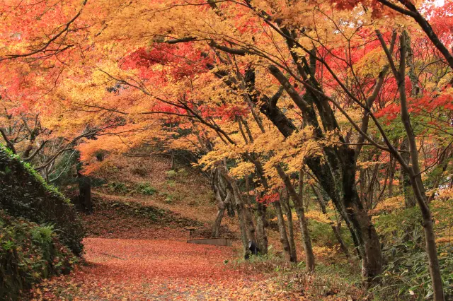 季節ごとの風景画美しい