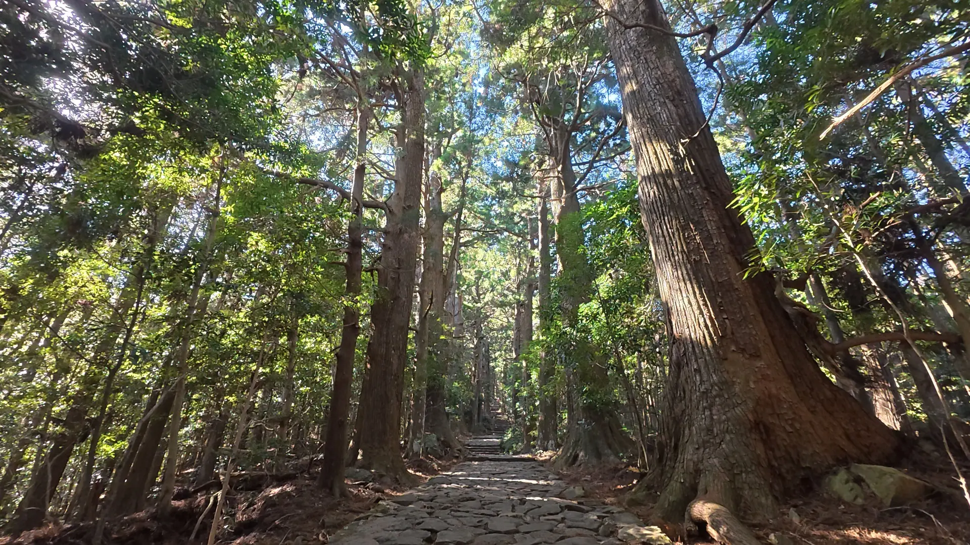 大門坂