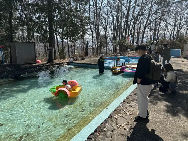 手漕ぎボートなど夏は水遊びを楽しめるライオンの池