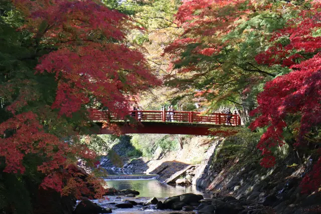 桂川にかかる5つの橋は、それぞれに恋にまつわるご利益があるといわれる