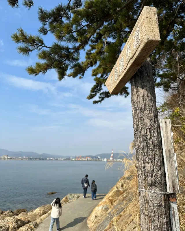 岩場や渚を巡って島の自然のすばらしさを実感