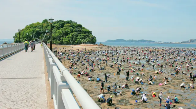 春から初夏は、周辺の浜辺で潮干狩りが楽しめる
