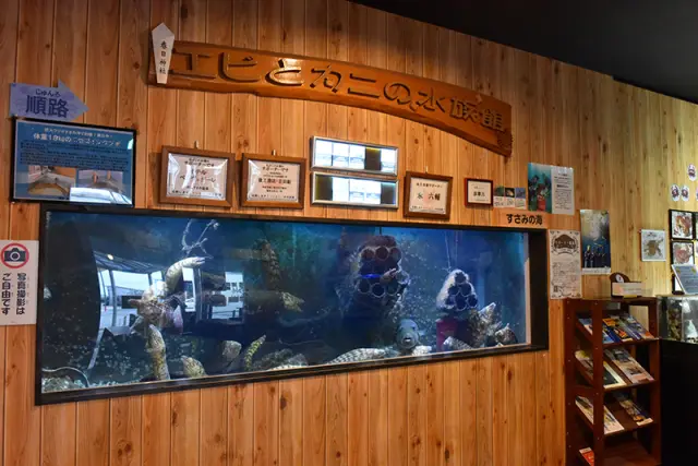 すさみ町立エビとカニの水族館