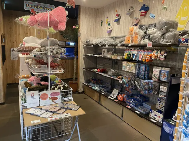 甲殻類グッズが買えるミュージアムショップ