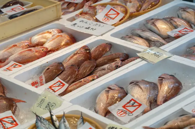 若狭湾で獲れたタイなどの新鮮な海の幸