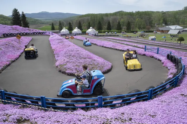 芝桜の中を疾走するゴーカートコース