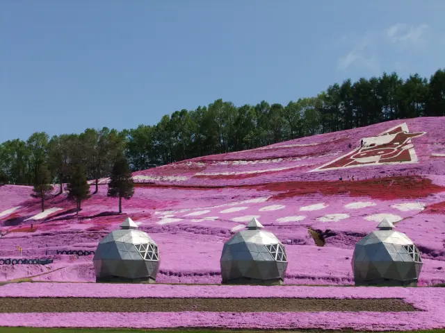 夏場に利用可能なキャンプ場
