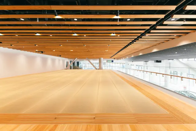 約100畳の畳空間「Tatami」 ・Yasuyuki TAKAKI