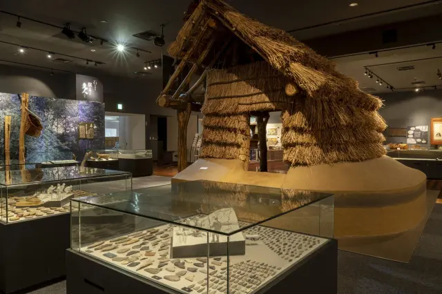 時代ごとにテーマを設定して展示する「人文展示室」