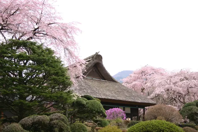 秩父宮記念公園