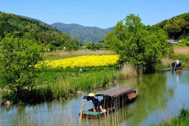 春季黃色油菜花也會繽紛盛開，展現絢麗風光