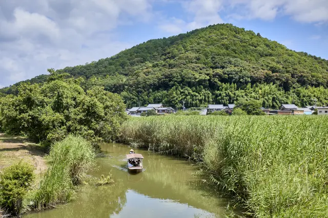 以圓山為背景，眼前展開四周環繞蘆葦叢的水鄉自然風光