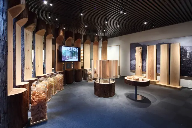木材の各部位の違いが学べる展示
（公益財団法人　竹中大工道具館）