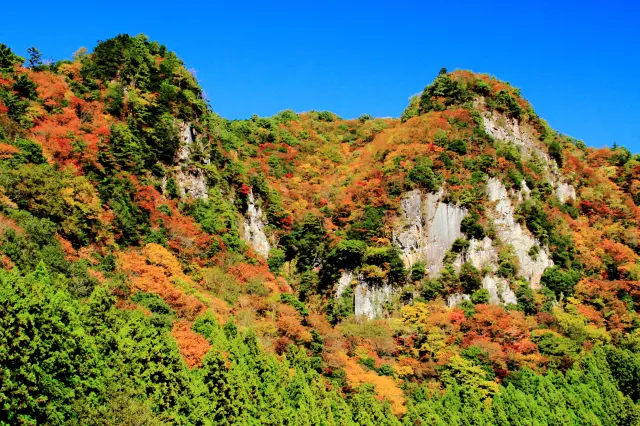 紅葉に染まる秋の香落渓