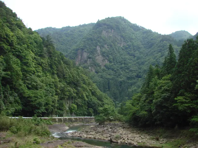 新緑映える安山岩の柱状節理