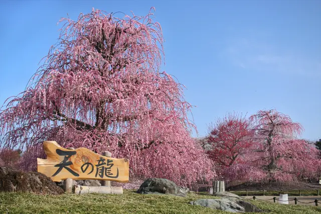 鈴鹿の森庭園