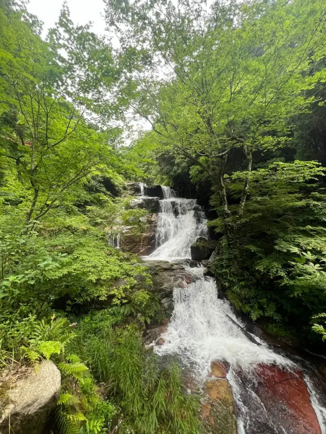 「深山の滝」をはじめ大小さまざまな滝を見ることができる