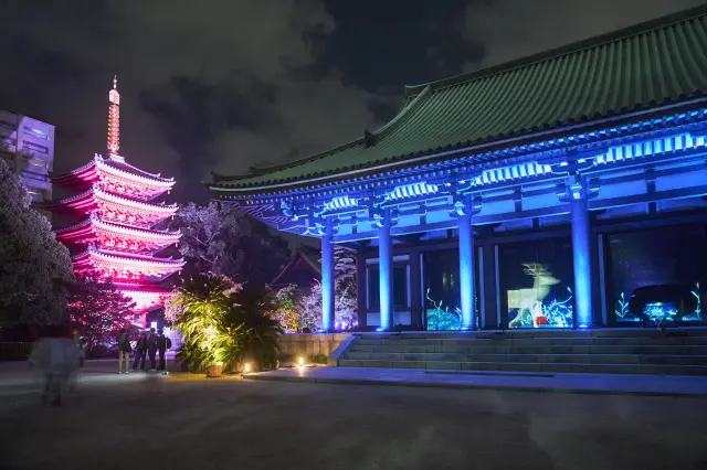 色とりどりの光の中で幻想的に浮かび上がる建物は必見(東長寺)