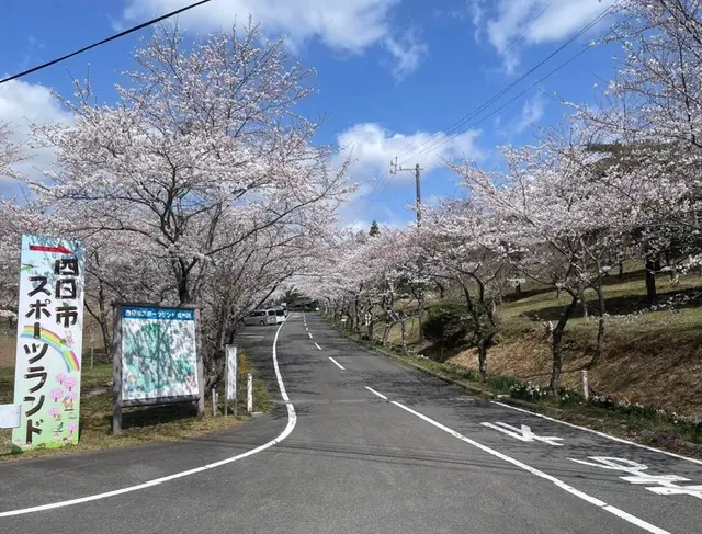 季節の花も楽しめる