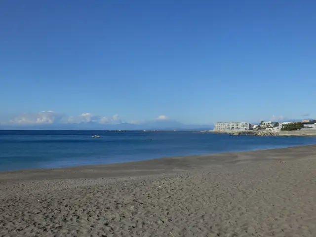 黒松林は一色海岸に面している(園内から海岸へは出られません)