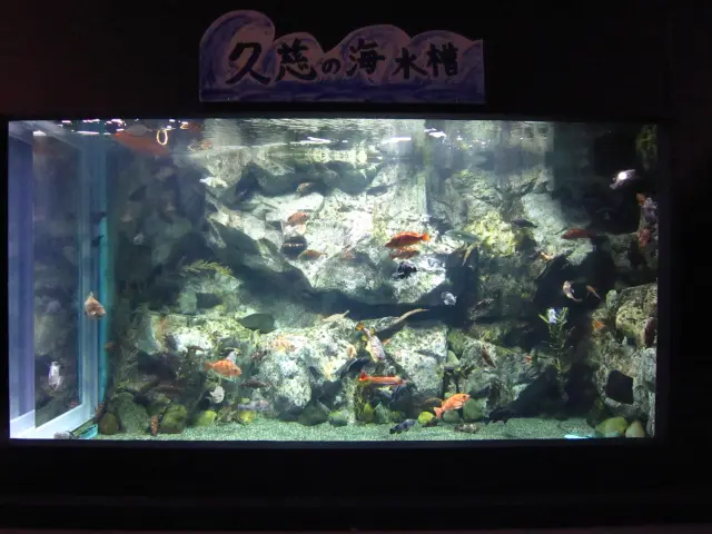 久慈地下水族科学館 もぐらんぴあ