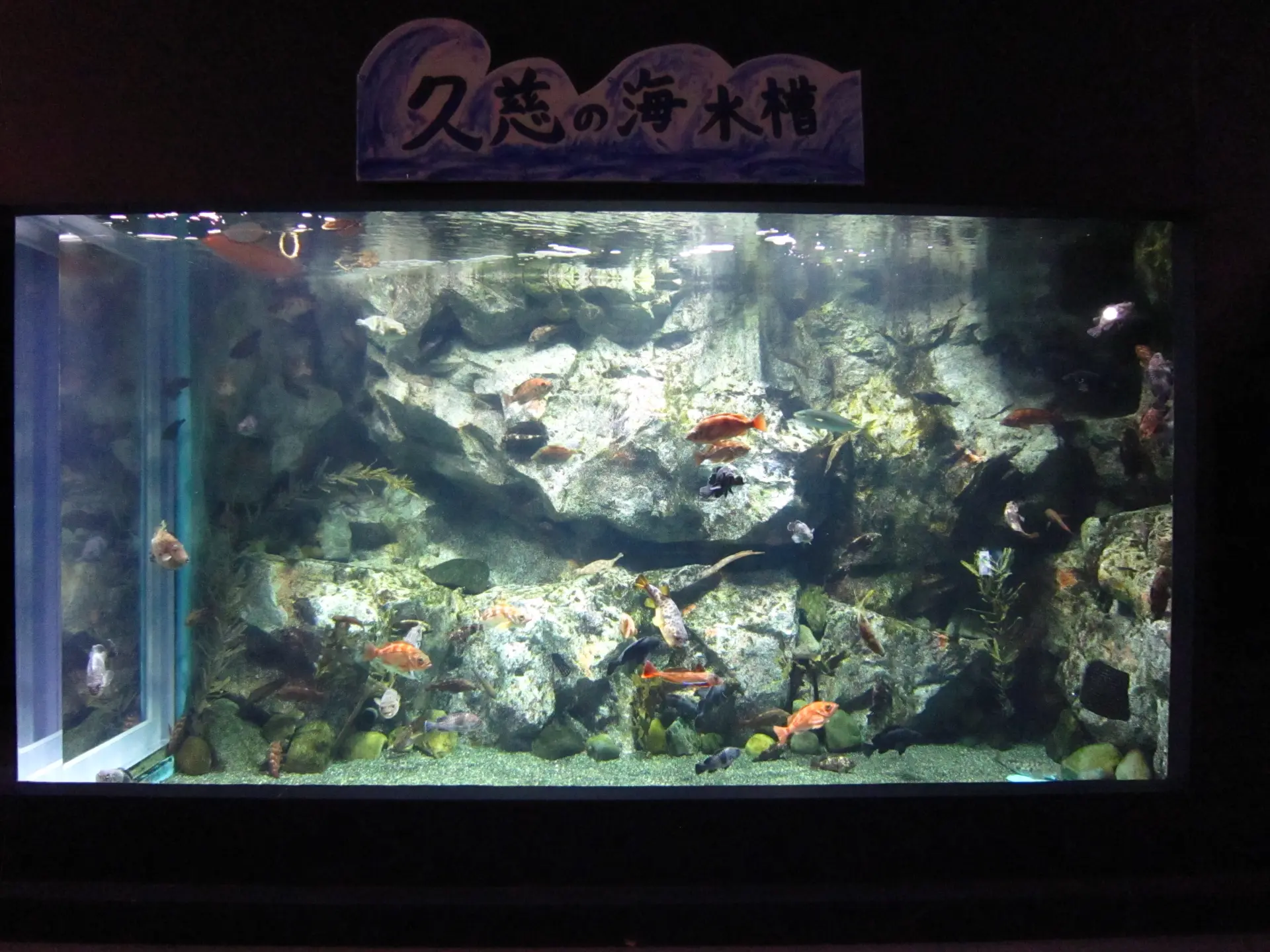 久慈地下水族科学館 もぐらんぴあ