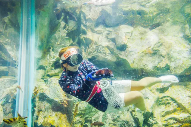 南部もぐり・北限の海女